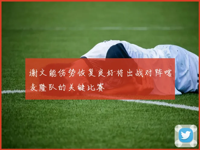 谢文能伤势恢复良好将出战对阵喀麦隆队的关键比赛